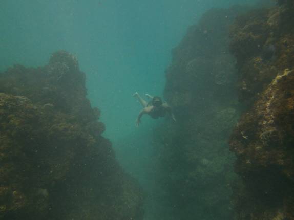A Ana faz snorkel em Cayo Zapatilla, uma das ilhas de Bocas del Toro, no norte do Panamá